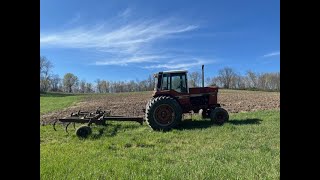 2024 Spring Tillage IH 1486 amp Bush Hog 8 shank chisel plow [upl. by Ziza]