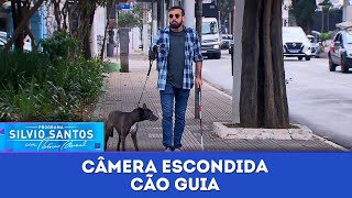 Cão Guia  Câmeras Escondidas  com Ítalo Sena 300624 [upl. by Notirb823]