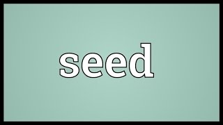 Seed Meaning [upl. by Haman]