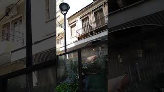 2052024 La Pizzetta Aiolou street Athens Greece [upl. by Dowdell706]