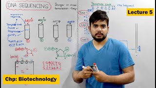 DNA Sequencing  Sanger or chain Termination Vs automated DNA sequencing  Video 5 [upl. by Gualterio]