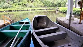 Caroni Bird Sanctuary 1August 2024 [upl. by Ellmyer449]