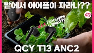 밭에서 이어폰이 자라나 2만원 아래에 노캔까지 주는 QCY T13 ANC2 개봉기 [upl. by Ynez]