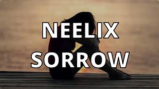 Neelix  Sorrow [upl. by Walsh]