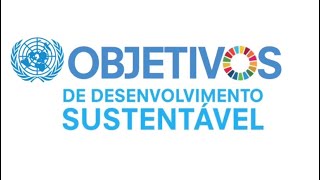 Objetivos da Romênia na ONU [upl. by Yeruoc]