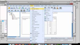 Estimation and Confidence Intervals in SPSS [upl. by Eenar]