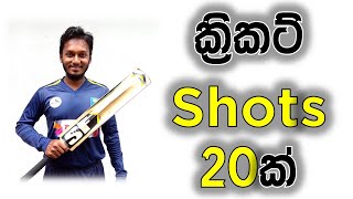 How to Play Cricket Shots  Fielding JayA [upl. by Adnylg]