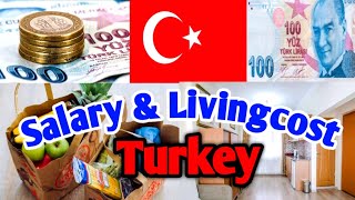 Salary and Living Cost in Turkey  How To Survive In Turkey turkey salaries [upl. by Llewej497]