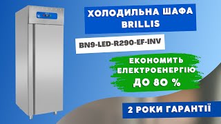 Холодильна шафа однодверна BN9LEDR290EFINV економить до 80 електроенергії [upl. by Thgirw204]