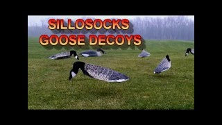 Sillosocks Canada Goose Decoys [upl. by Henig618]