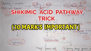 Shikimic acid pathway trick  Pharma lectures [upl. by Kohsa]