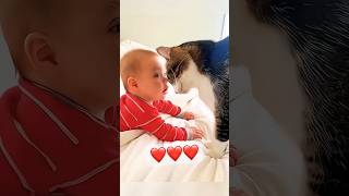 Cats love children 😍😍😍😍 catslove lovecatsforever cats loveforever [upl. by Quiteri]