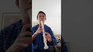 Recorder Sound Comparison Soprano vs Alto vs Tenor 2 [upl. by Fabiolas]