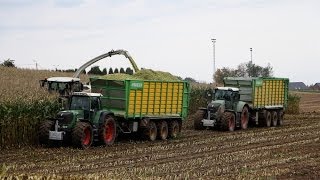 Silage with Claas Jaguar 940 and 6x Fendt Vario  Ensilage Maïs 2013  XSchoonbroodt [upl. by Nnaeiluj]