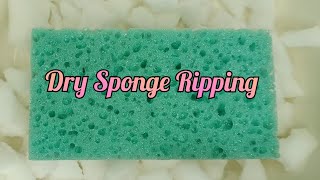 ASMR • Dry Sponge Ripping • 💚🤍asmr rippingsponges dryspongeripping spongeripping [upl. by Vada]