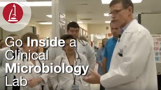 Go Inside a Clinical Microbiology Lab [upl. by Bat]