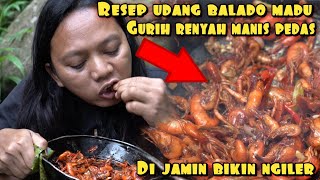 RESEP BALADO UDANG MADU HASIL BURUAN BIKIN NGILER [upl. by Ennaul]