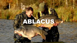 ABLACUS  First class French carp lakes [upl. by Ebert967]