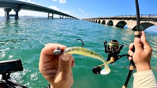 Florida Keys  Fishing The 7 Mile Bridge First Time [upl. by Krall]