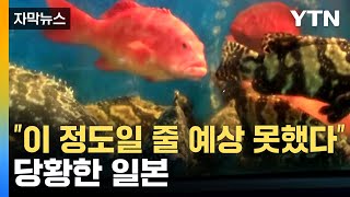 자막뉴스 일본 오염수 방류에 중국에서 나타난 현상中 당국 quot이성적으로quot 공지  YTN [upl. by Gardel]