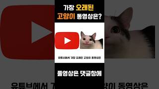 유튜브에서 가장 오래된 고양이 동영상은 [upl. by Enyamrahc]