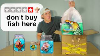 Buying Fish From The Worst Rated Online Fish Stores [upl. by Anderer651]