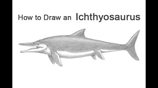 How to Draw an Ichthyosaurus [upl. by Tesil]