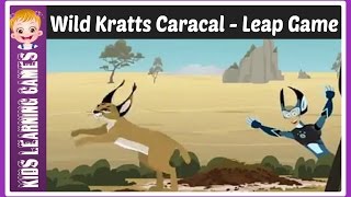 wild kratts  wild kratts caracal leap [upl. by Ardeed315]