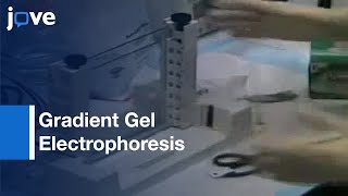 Denaturing Gradient Gel Electrophoresis DGGE l Protocol Preview [upl. by Pasquale968]