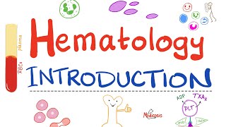 Hematology  Introduction  Hematopoiesis Lets Make RBCs WBCs and Platelets Hematology Playlist [upl. by Sonnie402]