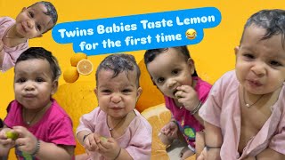 🤣TWINS BABIES TASTE LEMON FOR THE FIRST TIME  Lemon Challenge [upl. by Ydnas]