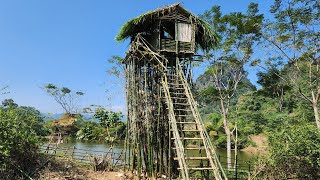 Building a house on the highest bamboo clump  7 days to build a tree house off the grid [upl. by Elatia215]