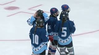 Rhode Island Hockey Hall of Fame AllStar Showcase [upl. by Gilpin]