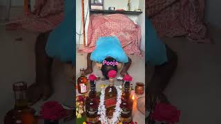 Whisky puja whiskey wine blenderspride redlabel reels shorts viralvideo viralshorts [upl. by Nalyr621]