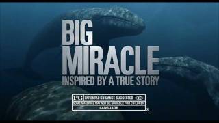 Big Miracle  TV Spot quotAmazingquot [upl. by Singhal]