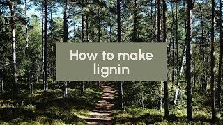 How to make lignin [upl. by Esilahc]