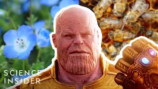 What If Thanos Really Had Eliminated 50 Of All Life Like In Avengers Infinity War [upl. by Neffirg]