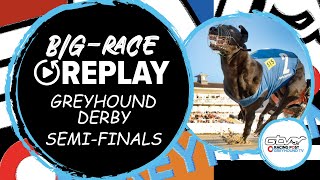 2023 Star SportsTRC Greyhound Derby SemiFinal  Greyhound Replays  RPGTV [upl. by Evans]