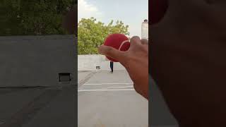 cricket howtoplaycoverdrive how to spin cosco ball 3 [upl. by Ellenahc347]