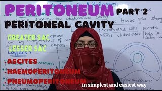 Peritoneal Cavity  part 2 Greater sac Lesser sac clinical problems ayeshamedicaleducation [upl. by Clifton]