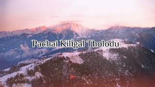 Pachai Kiligal Tholodu instrumental  Flute version  AR Rahman  Kamal Hassan  Tamil song flute [upl. by Atiniv]