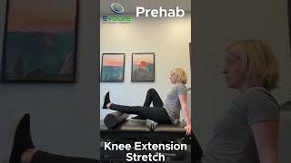 Seated Knee Extension Stretch [upl. by Ji]