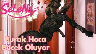 Burak Hoca böcek oluyor [upl. by Gomar]