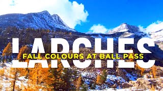 FALL LARCHES  Ball Pass Hike [upl. by Rourke]