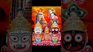 Jai Jagannath youtubeshorts shortsvideo Like Share Subscribe [upl. by Areema73]