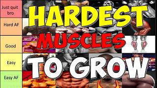 20 Hardest Muscles To Grow SCIENCE BASED TIER LIST [upl. by Eilrac467]