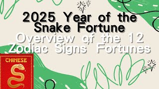 2025 Year of the Snake Fortune  Overview of the 12 Zodiac Signs Fortunes Feng Shui [upl. by Mcclenon]