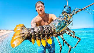 Catching Giant Lobsters For Food On Remote Island [upl. by Kumar]