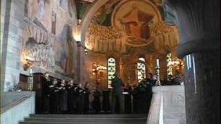 The Choir Of The Catholic Church Our Lady Denmark [upl. by Nanreik]