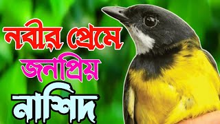 Golap Nilam  হৃদয় ছোঁয়া নাতে রাসুল  গোলাপ নিলাম গাধাঁ নিলাম  Hm Abdullah  Naat 2024  New Song [upl. by Burgess795]